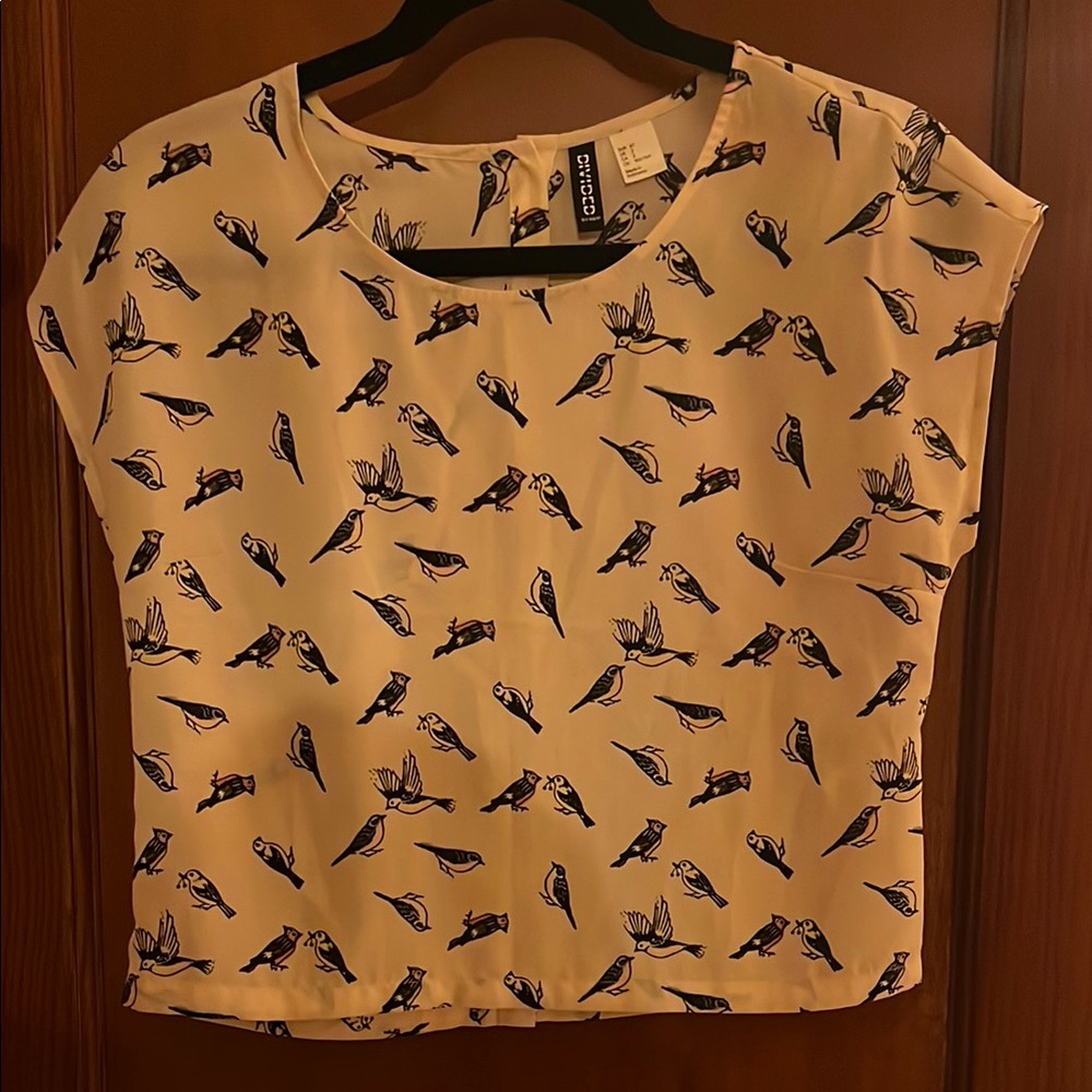 H&M Tan Cream Cap Sleeve Crop Blouse